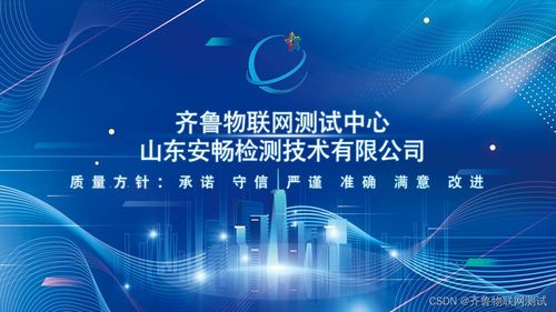 软件产品登记测试为何如此重要 数据处理服务的关键保障